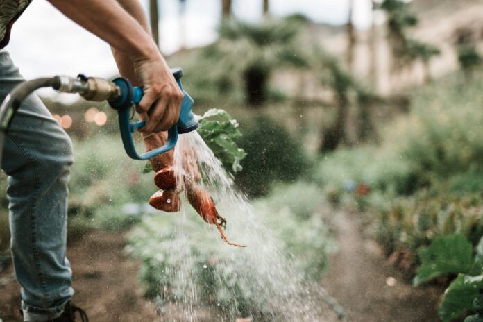 Agricoltura