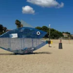 Vibo Valentia: un “pesce mangiaplastica” per salvaguardare il mare e sensibilizzare i cittadini
