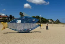 Vibo Valentia: un “pesce mangiaplastica” per salvaguardare il mare e sensibilizzare i cittadini Pesce mangia plastica