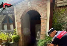 Carenze igienico sanitarie – sequestrato bar ristorante Carabinieri - Tutela Forestale