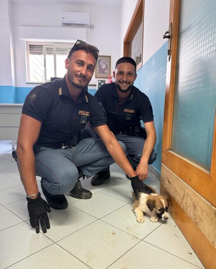 Polizia di Stato Gioia Tauro