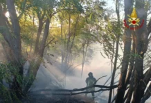 Uomo trovato carbonizzato durante lo spegnimento di un incendio Vigili del Fuoco - Incendio bosco
