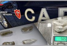 Controlli straordinari dei Carabinieri nel Vibonese: denunce per droga e guida in stato di ebbrezza Carabinieri Vibo Valentia
