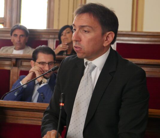 Castorina su Tariffe trasporto pubblico ed Alta Velocità : Reggio Calabria mortificata, necessaria presa di posizione collettiva ! ! !