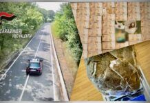 Paravati, piazza di spaccio ricostruita: colpo dei Carabinieri con un’osservazione silenziosa