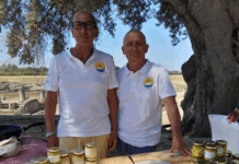 Accordo quadro tra Consorzio Finocchio IGP e Università Mediterranea: sinergia per la ricerca e la valorizzazione del territorio Consorzio Finocchio IGP