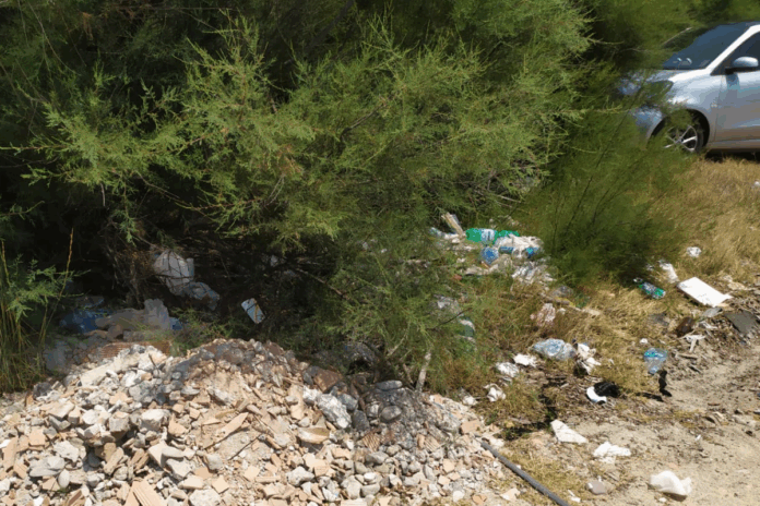 Rifiuti abbandonati per strada