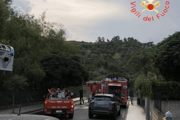 Vigili del Fuoco Catanzaro