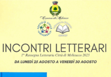 Libri, autori e dialoghi: nasce la Rassegna Letteraria Città di Melicucco Rassegna Letteraria Città di Melicucco
