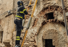 Crollo nel centro storico di Cosenza, Vigili del Fuoco al lavoro per salvare due cani Vigili del Fuoco