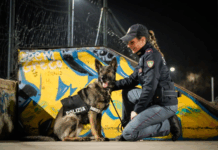 Maxi sequestro di droga: scoperti in un doppiofondo oltre 5 chili di cocaina dal valore 300mila euro Polizia di Stato - Unità Cinofila