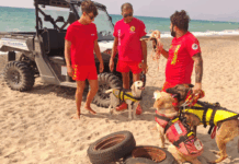 Sellia Marina, recuperato materiale inquinante: lavoro di squadra tra sub e soccorritori UCSN-ANPAS UCSN - ANPAS - Croce Verde Sellia Marina - Recuper materiale inquinante