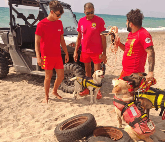 Sellia Marina, recuperato materiale inquinante: lavoro di squadra tra sub e soccorritori UCSN-ANPAS UCSN - ANPAS - Croce Verde Sellia Marina - Recuper materiale inquinante