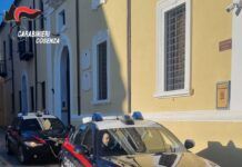 Carabiniere fuori servizio sventa furto al centro commerciale Carabinieri Cosenza