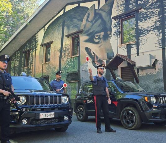 Terreno agricolo trasformato in parcheggio abusivo: scatta il sequestro Carabinieri Cosenza
