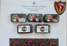 Controlli dei carabinieri – Sequestrata droga nascosta sotto macerie Carabinieri Crotone - Sequestro hashish