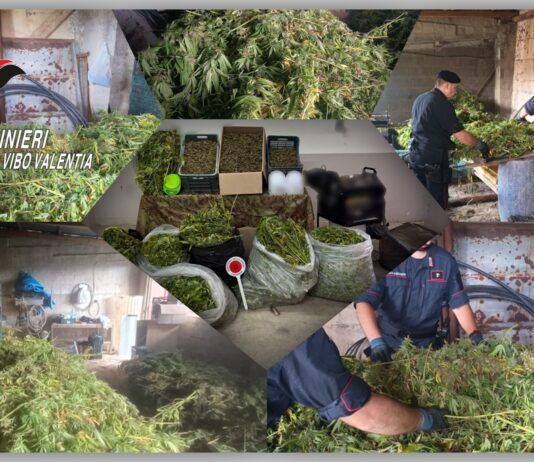Mileto – scoperto laboratorio della marijuana: due persone arrestate Carabinieri Vibo Valentia - Sequestro Canapa Indiana - Mileto