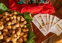 Ancora un successo per l’edizione 2025 del Fichi Festival