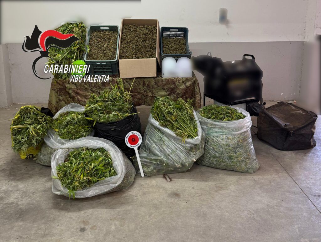 Carabinieri Vibo Valentia – Sequestro Canapa Indiana – Mileto