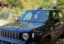 Carabinieri -Furto di energia elettrica a Palmi e Bagnara: 2 persone arrestate Carabinieri Reggio Calabria