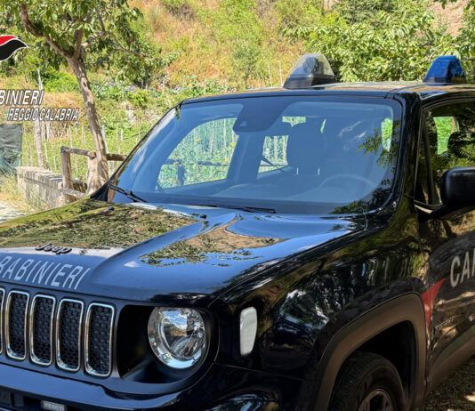 Carabinieri -Furto di energia elettrica a Palmi e Bagnara: 2 persone arrestate Carabinieri Reggio Calabria