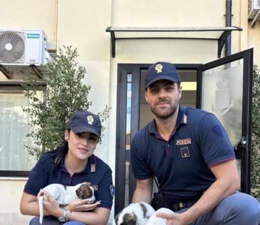 Polizia di Stato: cuccioli abbandonati salvati dagli agenti delle Volanti Polizia di Stato - Cuccioli salvati