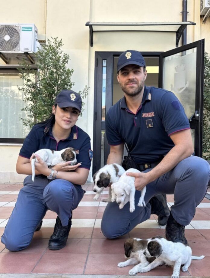 Polizia di Stato - Cuccioli salvati