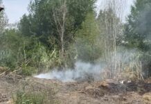 Rifiuti spacciati per compost: maxi sequestro dei Carabinieri nella Piana Carabinieri Gioia Tauro - Sequestro compost