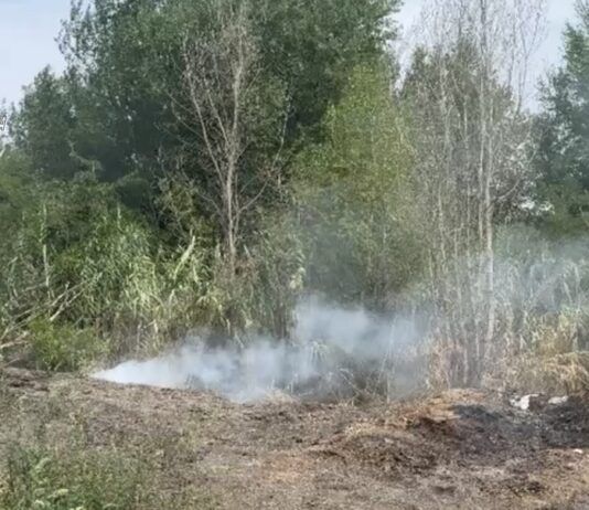 Rifiuti spacciati per compost: maxi sequestro dei Carabinieri nella Piana Carabinieri Gioia Tauro - Sequestro compost