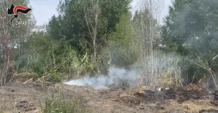 Carabinieri Gioia Tauro - Sequestro compost