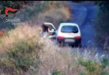 Appicca fuoco a vegetazione – arrestato piromane