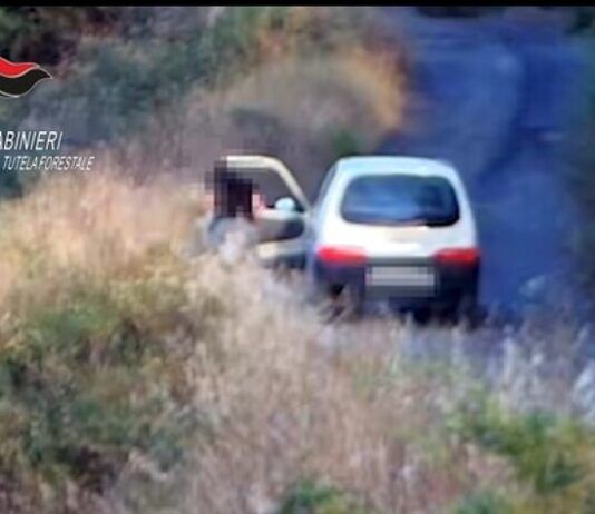 Appicca fuoco a vegetazione – arrestato piromane