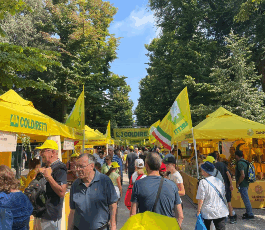 Dal campo alla tavola: a Taverna di Montalto Uffugo apre il mercato di Campagna Amica Coldiretti - Mercato Campagna Amica