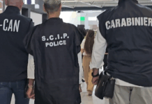 Maxi-inchiesta Millennium, arriva in Italia l’uomo arrestato in Spagna Carabinieri - OPERAZIONE “MILLENNIUM” - I-CAN DELLO SCIP E LA COLLABORAZIONE CON LA POLIZIA SPAGNOLA