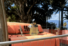 Atti intimidatori a Reggio, Libera: la ‘ndrangheta reagisce alla perdita di potere Una bottiglia ed una bustina con dei proiettili al cantiere del Cinema Orchidea - Reggio Calabria