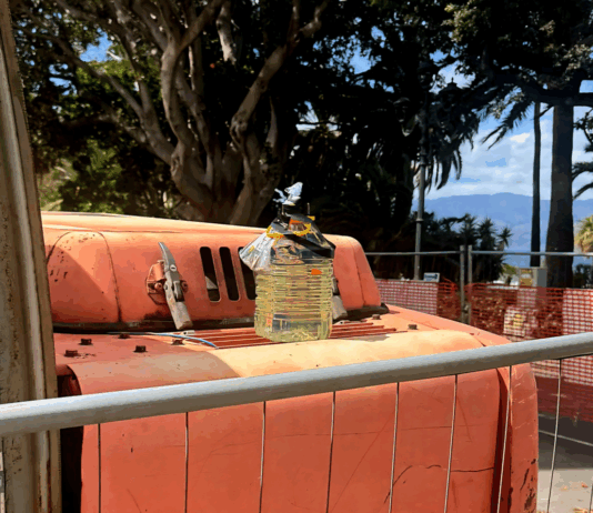 Atti intimidatori a Reggio, Libera: la ‘ndrangheta reagisce alla perdita di potere Una bottiglia ed una bustina con dei proiettili al cantiere del Cinema Orchidea - Reggio Calabria