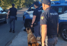 Doppio blitz della Polizia: cocaina nascosta in un calzino e hashish nel contatore dell’acqua Polizia di Stato - Unità Cinofila
