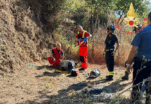 Donna precipita da un terrazzamento: recuperata dai Vigili del Fuoco e elisoccorso in azione Vigili del Fuoco - Salvataggio