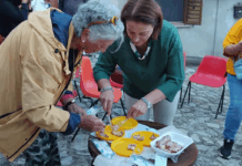 Decollatura, la patata tra tradizione e innovazione: De.Co. e nuove sfide per il futuro Radici e Futuro - Decollatura (CZ) - Patata DeCo