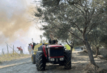 Agricoltore eroe: ustionato per salvare i suoi animali Incendio in campagna