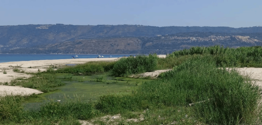 Riserva Naturale Regionale Foce del Fiume Mesima - WWF Vibo Valentia