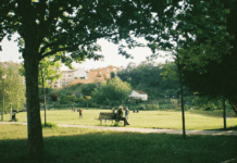 Atti osceni al parco davanti a ragazzine, 62enne picchiato muore poco dopo in ospedale Parco urbano