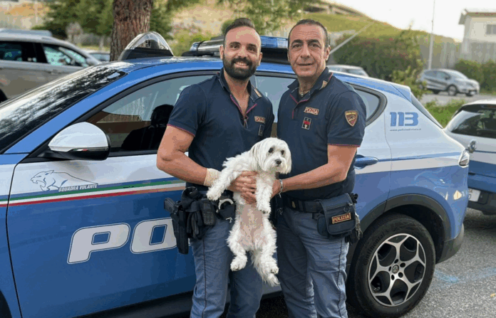 Polizia di Stato - Catanzaro - Salvataggio cucciolo
