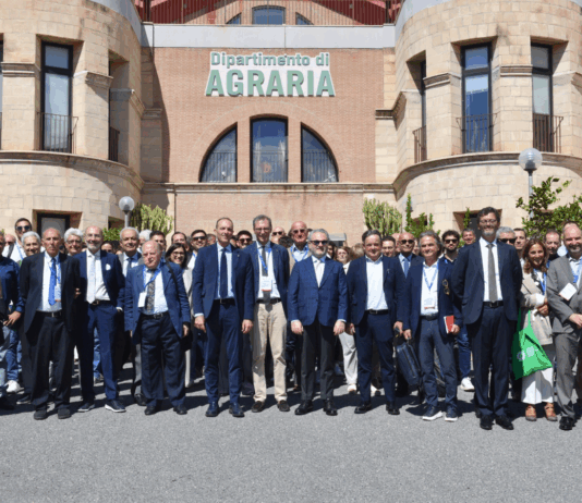Reggio Calabria capitale dell’ingegneria agraria internazionale: il futuro dell’agricoltura è qui Università Mediterranea Reggio Calabria – Dipartimento Agraria - AIIA 2025