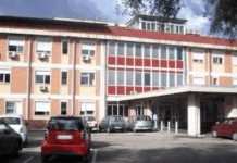 Pulci in ospedale a Gioia Tauro – Il sindaco: “Sospensione ricoveri non legata a carenze igieniche”. Avviata bonifica Ospedale di Gioia Tauro (RC)