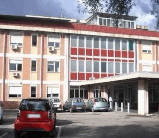 Pulci in ospedale a Gioia Tauro – Il sindaco: “Sospensione ricoveri non legata a carenze igieniche”. Avviata bonifica Ospedale di Gioia Tauro (RC)