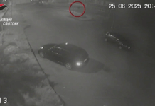 Maxi operazione dei Carabinieri: arresti per il furto di farmaci oncologici da 700mila euro Carabinieri - Cirò Marina (KR) - Furto farmaci oncologici