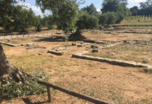 Alla scoperta di Laos: il parco archeologico apre per le Giornate Europee del Patrimonio Parco Archeologico di Laos - Marcellina di Santa Maria del Cedro (Cs)