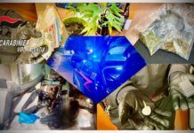 Armi, droga, ricettazione e lavoro nero: otto persone denunciate dai Carabinieri