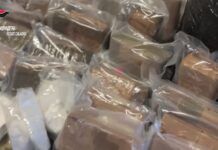 Decine di kg di stupefacente sotterrato nelle campagne – un arresto nel reggino Carabinieri - Reggio Calabria - Sequestro Droga